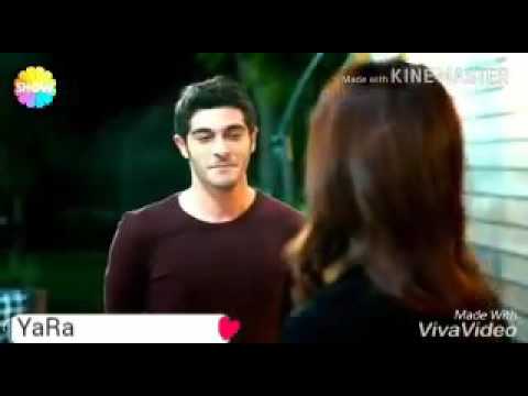 حياه ومراد حاله حب اليسا الحب لا يفهم من الكلام