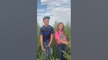 Thumbnail of Dusty Bibles. By Josiah Queen #MySisterSoundsAwesome.