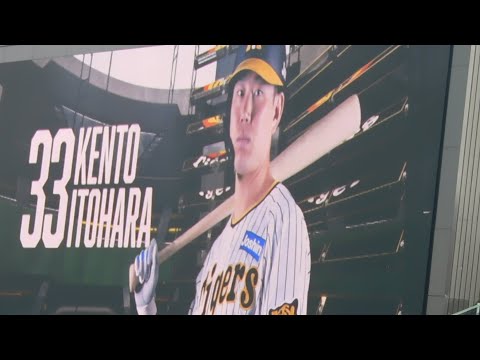 阪神 糸原健斗 登場曲＆ビジョン演出 2023