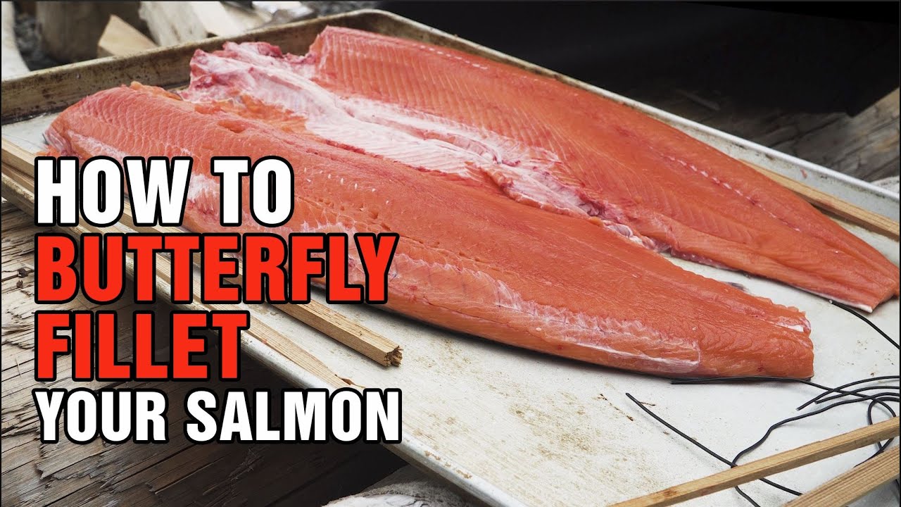 How to Butterfly Fillet Your Salmon Traditional Kyuquot Method YouTube