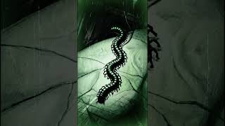 Transplantation v2: Instar