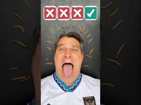 WHICH INSECT WOULD YOU EAT? 😱 QUAL INSETO VOCÊ COMERIA?😱 #viralreels #fyp #viral #funny #shorts