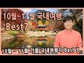 [Talk] 10월 11월에 가면 좋은 가을 국내여행지 베스트7 / 내장사 단풍, 백양사 단풍, 주왕산, 담양, 문경새재, 함양, 해남, 정읍 구절초, 가을여행지 추천