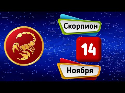 Гороскоп на завтра /сегодня 14 Ноября /СКОРПИОН /Знаки зодиака /Ежедневный гороскоп на каждый день