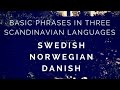 Scandinavian Languages Compared: Phrases in Swedish, Norwegian, Danish