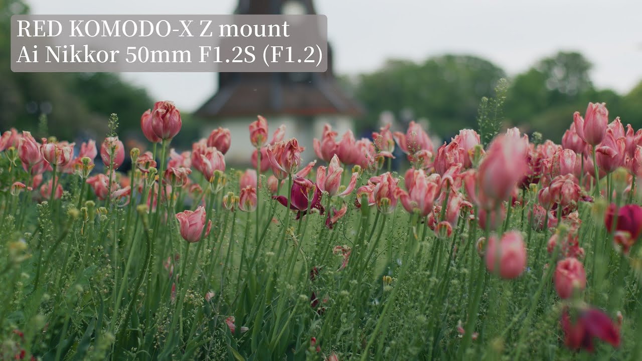 RED】KOMODO-X Z mountの真価に迫る Vol.4～シネマカメラにオールド