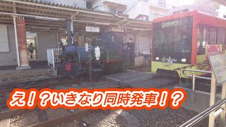 坊っちゃん列車（機関車）と伊予鉄2100形同時発車シーン