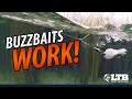 The Best Buzzbait Fishing Tip You've Ever Seen