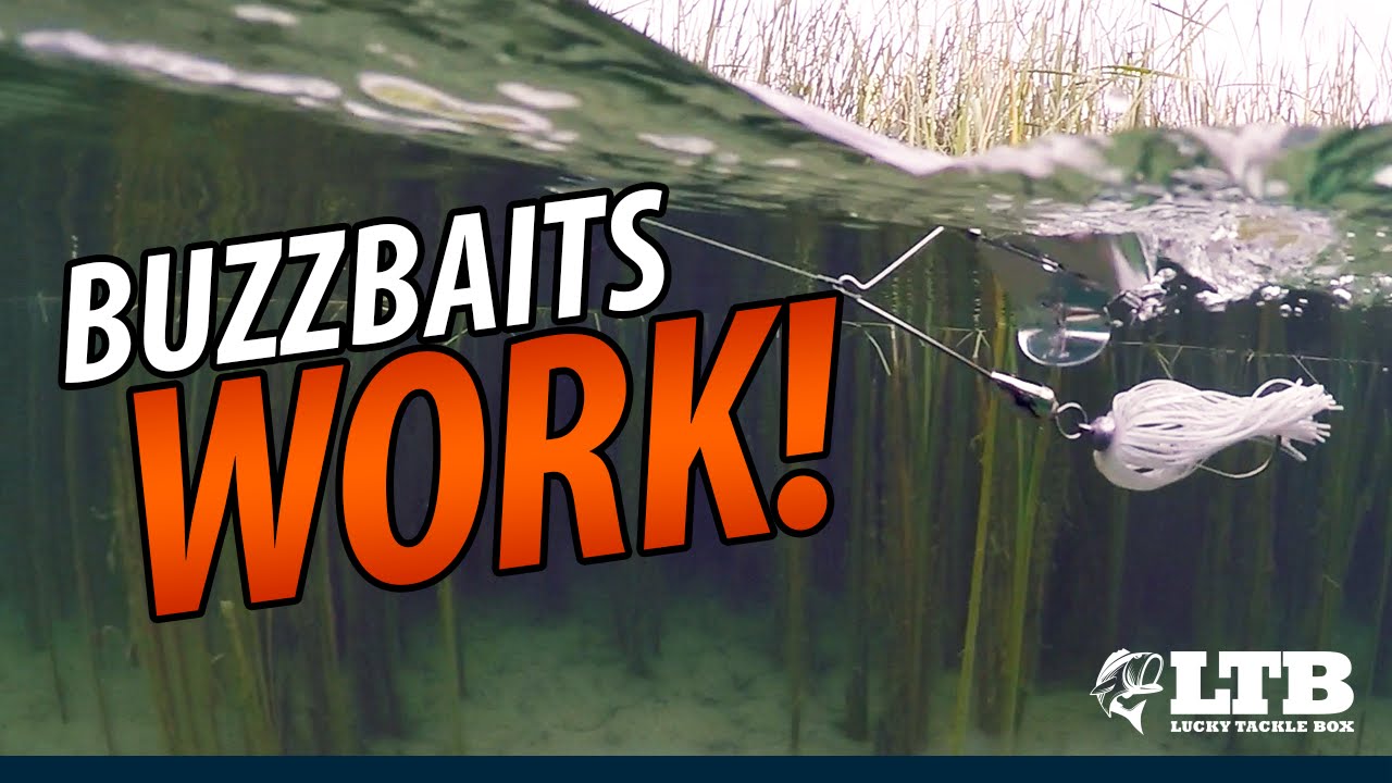 The Best Buzzbait Fishing Tip You've Ever Seen 