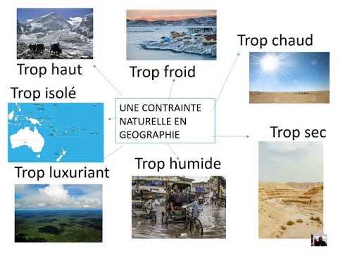 Leçon 1: les