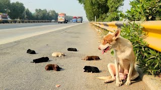 "Thrown Away Like Trash… But Still Fighting for Her Babies"💔😡