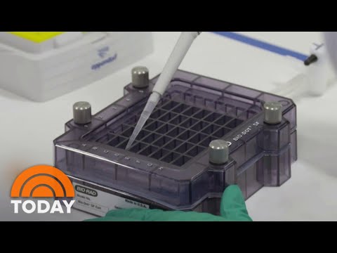 How Soon Could The FDA Approve A COVID-19 Vaccine? | TODAY