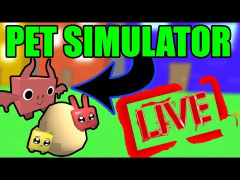 Rozdaje Pety W Pet Simulator Roblox Youtube