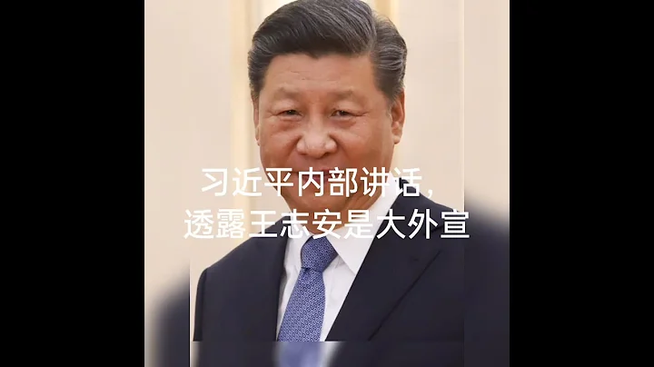 王志安是大外宣，每年從中共那裡領十億美金 - 天天要聞