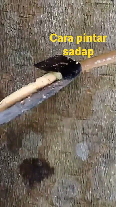 smart way to tap rubber #shots