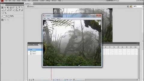 Create Rain Effect In Flash