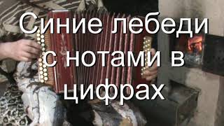 Синие лебеди с нотами в цифрах