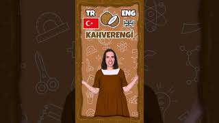 Kidshire TR & ENG Renkler colours