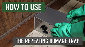 How to Use the Solutions Repeating Humane Mouse Trap [DIY Rodent Control]