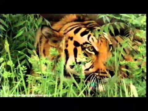 Sundarban- Department Of Tourism, Govt. Of West Bengal