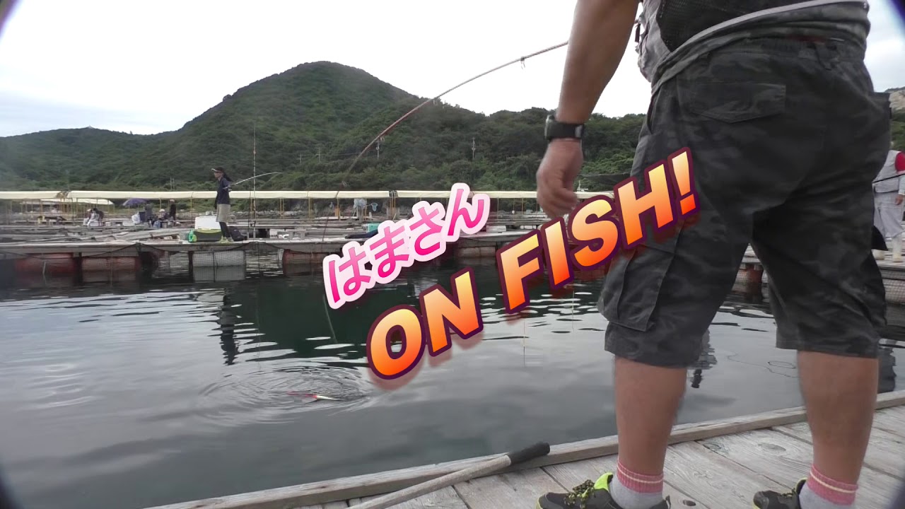 はまさんの 海上釣堀 行く前に見てね エサ取り対策必要編 Youtube