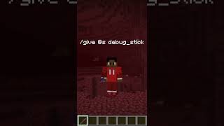 Nether Water#minecraft #cheats #shorts