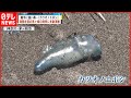 【注意】海岸に“毒クラゲ”多数漂着  触手に強い毒  神奈川・茅ヶ崎市