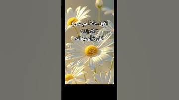 الآية - ١٢٨ - من سورة (الأعراف) القارئ/أبوعبدالله #القرآن_الكريم #راحة_نفسية #المصحف #تيك_توك
