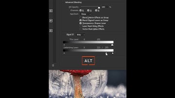 Put Anything in The Ice - Short Photoshop Tutoria