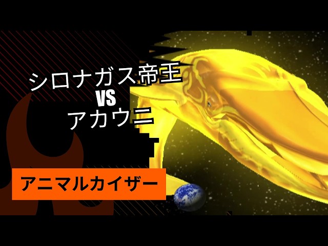 シロナガス帝王 Vs アカウニ - アニマルカイザー | Emperor Vertus Vs