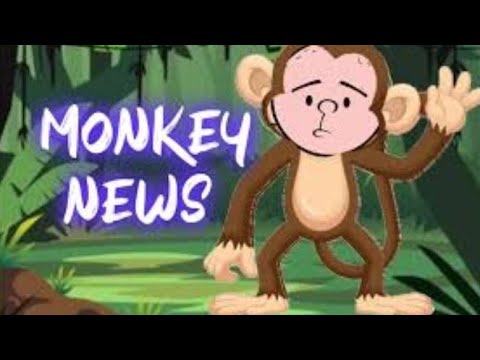 ALL MONKEY NEWS | Karl Pilkington - YouTube