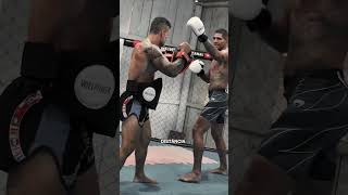 Vejo Muitas Pessoas Falando Sobre A Guarda Baixa Do Poatan, Então Está Aí Uma Dica Direto Da Fonte