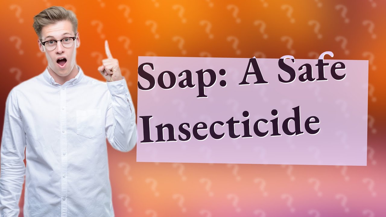 What Does Soap Do To Insects YouTube What Does Soap Do To Insects YouTube
