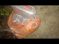 প্রায় ১০ কেজি ওজনের লাল কোরাল মাছ কাটিং  Big Red Coral Fish Cutting  Incredible Huge Fish Cutting