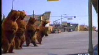 The Pepsi Bears