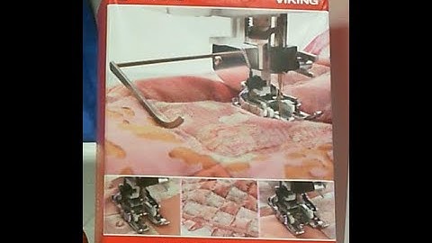 Interchangeable Dual Feed Foot