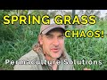 Spring Grass Out of Control? Permaculture Hacks to Save Hours of Work!