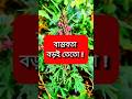 বাস্তবতা বড়ই তেতো #motivation #reality #inspiration #বাস্তবতা #স্বামী #স্বামী_স্ত্রীর_ভালোবাসা