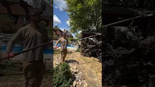 M18 FUEL™ Telescoping Pole Saw | 3013-20 Video Credit: thatlawndude