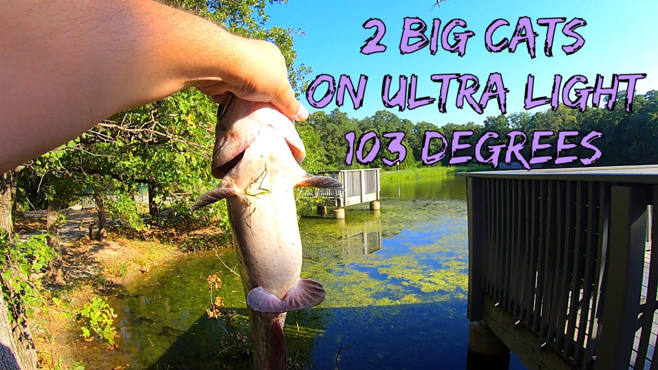 Catching 2 Big Catfish YouTube