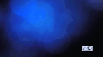 Studio - Light Flares Part 1