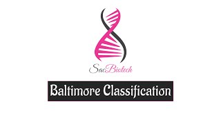 Baltimore Classification
