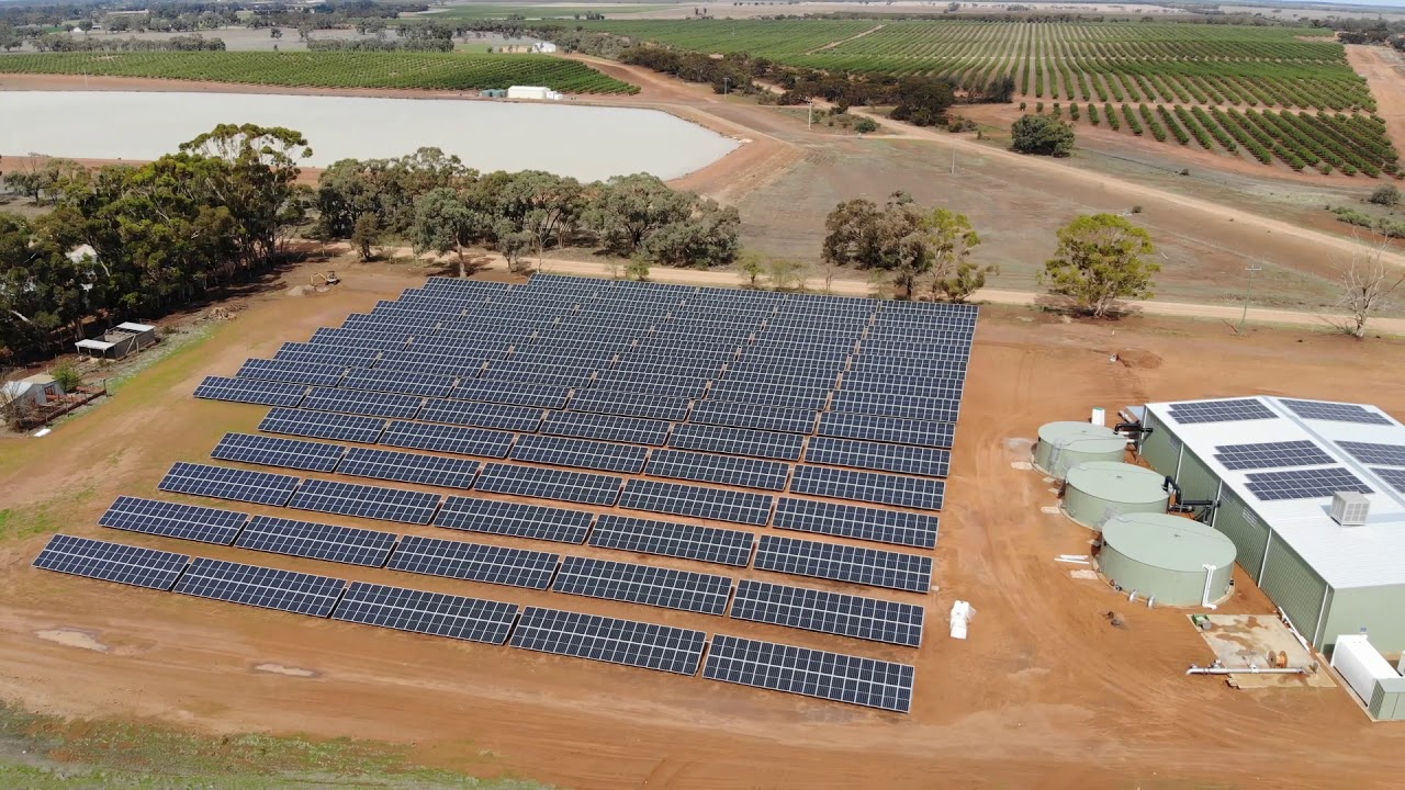 Andrew Peace Wines - 1MW Ground Mount PV