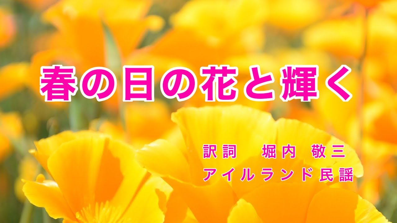 春の 日 の 花 と 輝く 歌詞