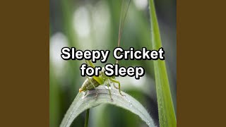 Calm Cicadas Sounds screenshot 5