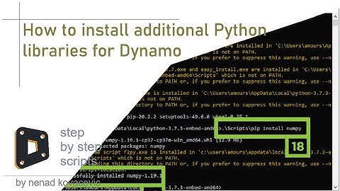 How to install additional Python libraries for Dynamo