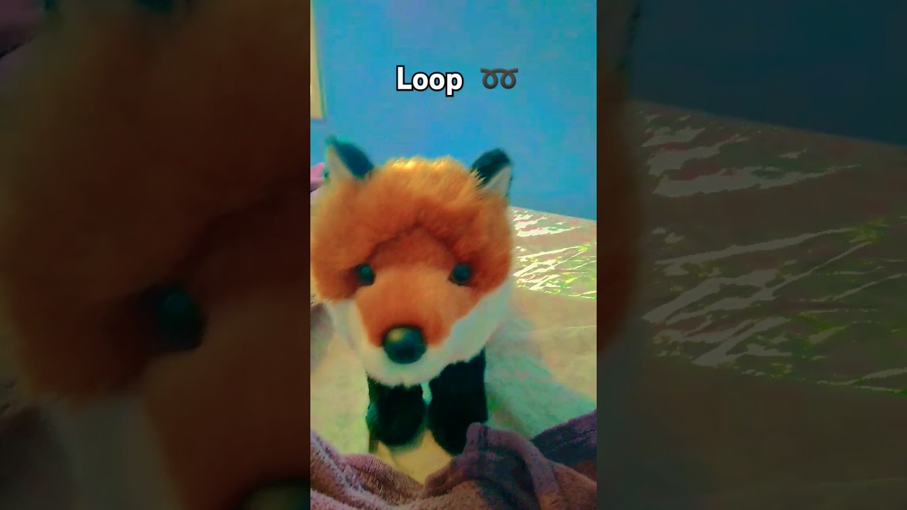 Loop?➿ 