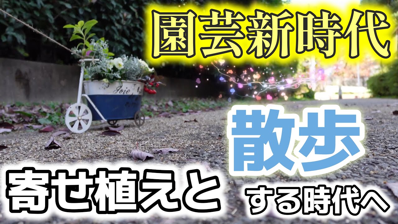 【車輪の寄せ植え】園芸新時代！車輪第2章！当然のごとく散歩させます！