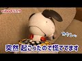 【制御不能】フリーズを起こした日の夜の出来事