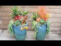 Planting Large Pots with Succulents